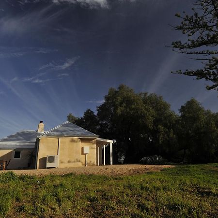 מקלארן וואלה Peppermint Farm Cottage מראה חיצוני תמונה